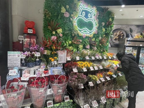 鮮花消費日?；厔菝黠@，武漢時令春花綻放新商機
